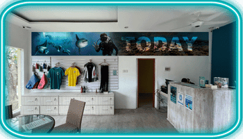 Tienda de buceo con mostrador, camisetas y fotos marinas en la pared; letrero "TODAY" y un cartel que promociona legend diving.