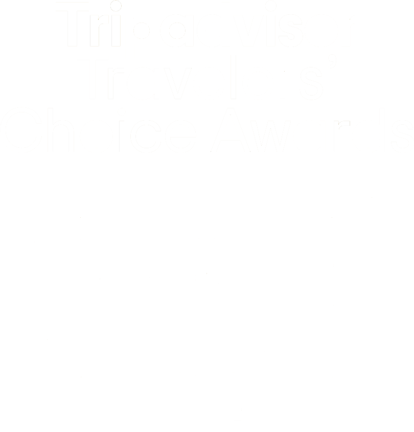 TA-LOGO-2025 Logotipo de los premios «Travellers' Choice» de TripAdvisor con el icono de un búho y elementos de una corona de laurel